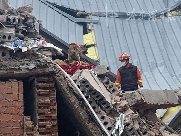 1611190733175367.png 哈爾濱坍塌-1.png