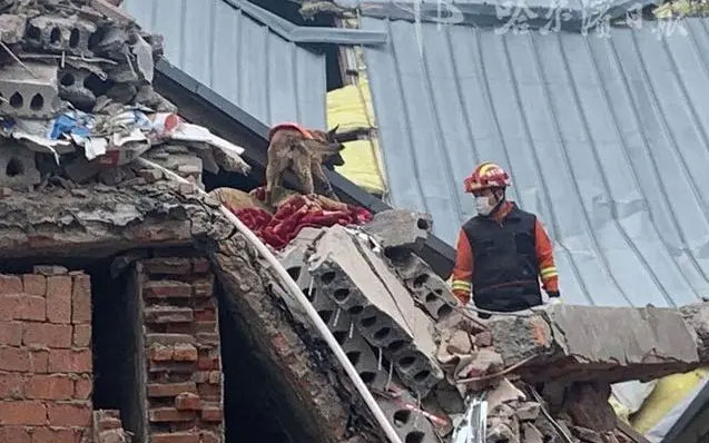 哈爾濱坍塌事故，引發老舊小區改造問題新思考