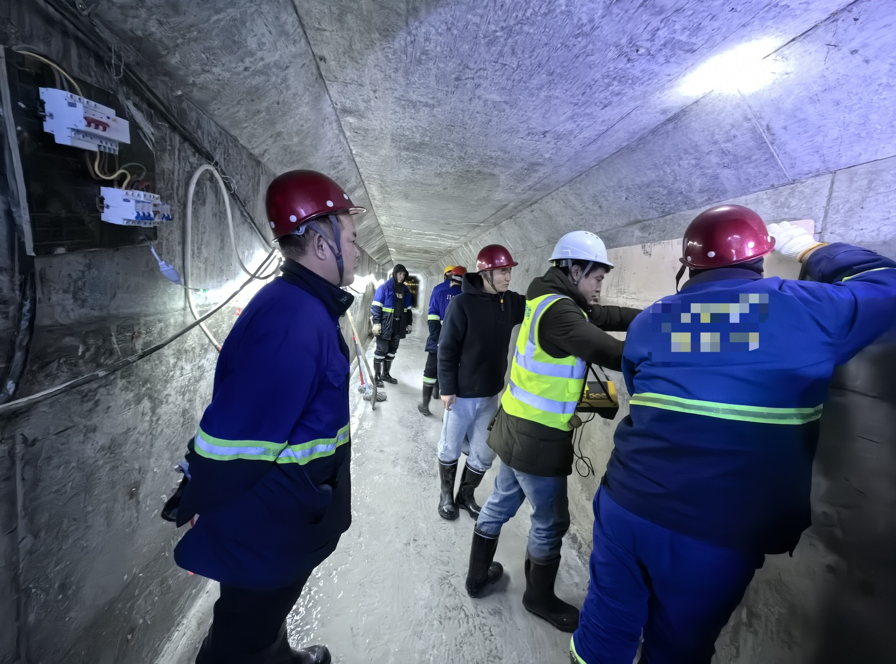 1737451507250.jpg 1737451507250.jpg